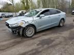 2013 Ford Fusion Titanium Phev