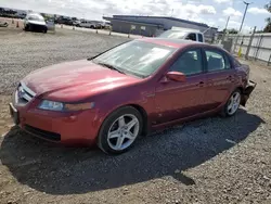 Salvage cars for sale at San Diego, CA auction: 2005 Acura TL