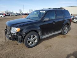 Salvage cars for sale at Rocky View County, AB auction: 2012 Ford Escape XLT