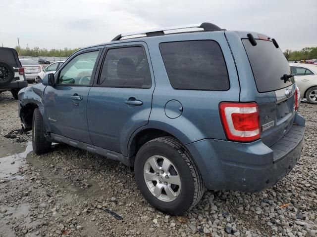 2010 Ford Escape Hybrid