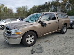 Dodge Vehiculos salvage en venta: 2010 Dodge RAM 1500