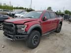 2017 Ford F150 Raptor