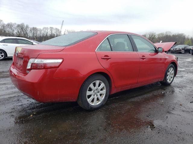 2009 Toyota Camry Hybrid