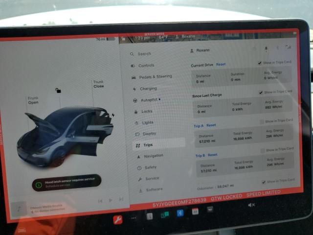 2021 Tesla Model Y