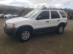 Ford Escape salvage cars for sale: 2004 Ford Escape XLT