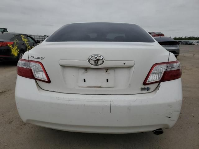 2007 Toyota Camry Hybrid