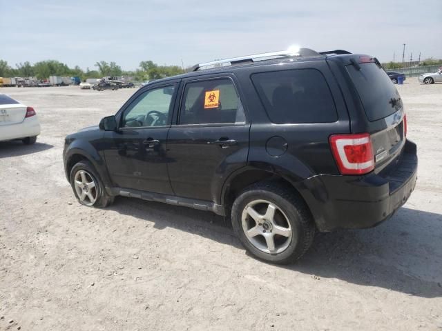 2011 Ford Escape Limited