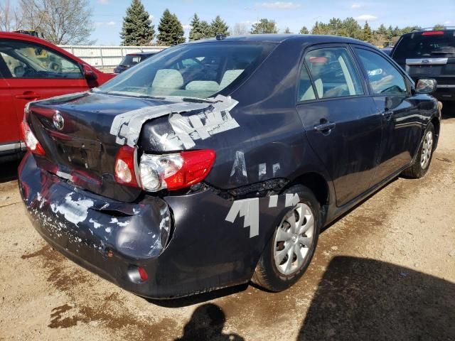 2010 Toyota Corolla Base