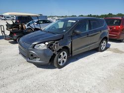 Salvage cars for sale at Arcadia, FL auction: 2015 Ford Escape SE