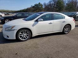 Salvage cars for sale at Brookhaven, NY auction: 2010 Nissan Maxima S