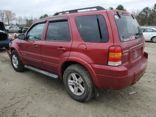 2007 Ford Escape HEV