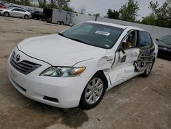 Salvage cars for sale at Bridgeton, MO auction: 2009 Toyota Camry Hybrid