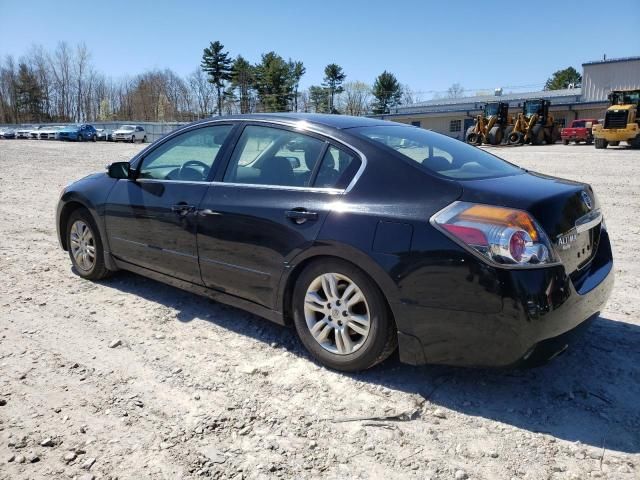 2010 Nissan Altima Base