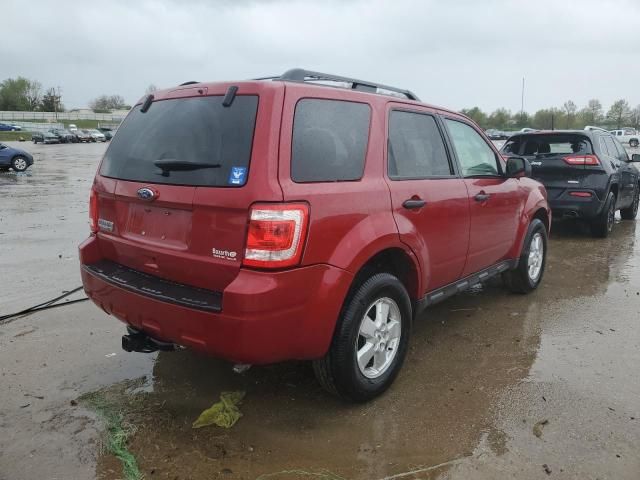 2010 Ford Escape XLT