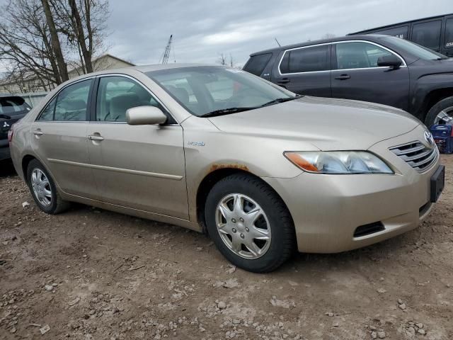 2007 Toyota Camry Hybrid