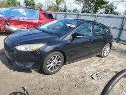 Ford Focus SE salvage cars for sale: 2016 Ford Focus SE