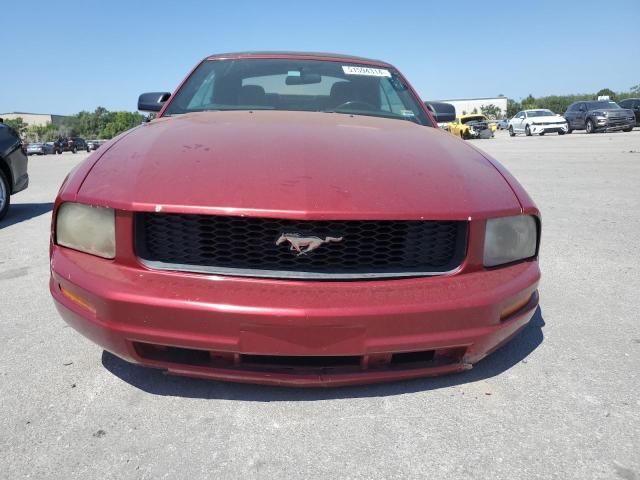 2005 Ford Mustang