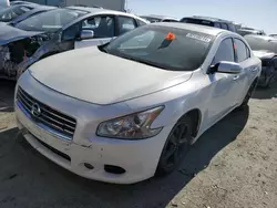 Salvage cars for sale at Martinez, CA auction: 2009 Nissan Maxima S