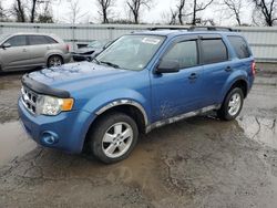 Ford salvage cars for sale: 2009 Ford Escape XLT