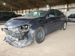 Salvage cars for sale at Phoenix, AZ auction: 2017 Toyota Camry LE