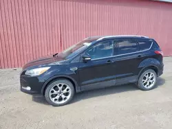 Salvage cars for sale from Copart Ontario Auction, ON: 2013 Ford Escape Titanium