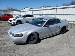 2004 Ford Mustang en venta en Albany, NY