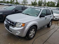 Ford Escape XLT salvage cars for sale: 2010 Ford Escape XLT