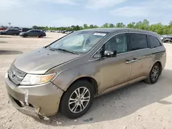 Salvage cars for sale at Houston, TX auction: 2011 Honda Odyssey EXL