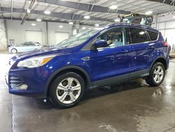 Ford salvage cars for sale: 2013 Ford Escape SE