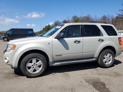 Ford Escape XLT salvage cars for sale: 2008 Ford Escape XLT