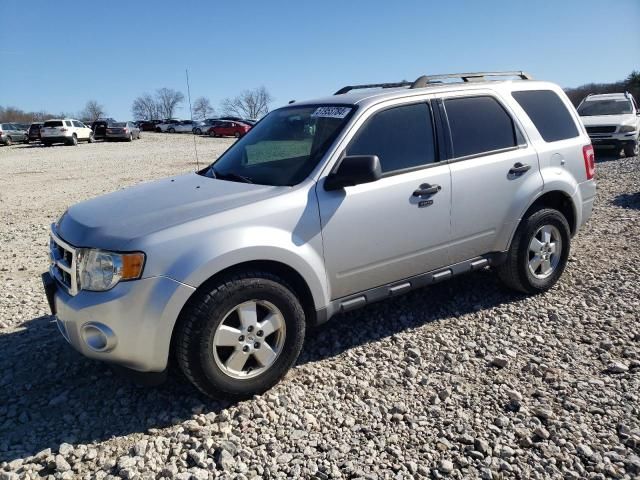 2011 Ford Escape XLT