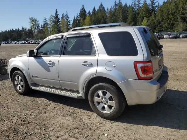 2010 Ford Escape Hybrid