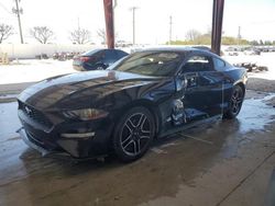 2023 Ford Mustang en venta en Homestead, FL