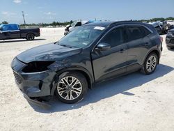 Salvage cars for sale at Arcadia, FL auction: 2022 Ford Escape SEL