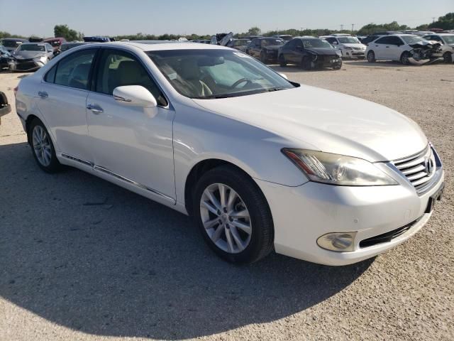 2010 Lexus ES 350