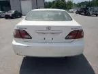 2004 Lexus ES 330