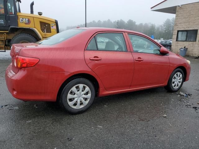 2009 Toyota Corolla Base