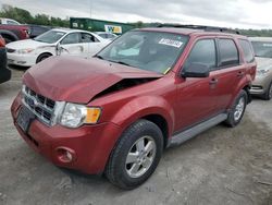 Salvage cars for sale at Cahokia Heights, IL auction: 2012 Ford Escape XLT