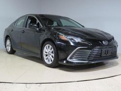 Salvage cars for sale at Los Angeles, CA auction: 2023 Toyota Camry LE