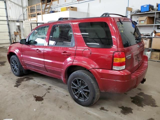 2005 Ford Escape Limited