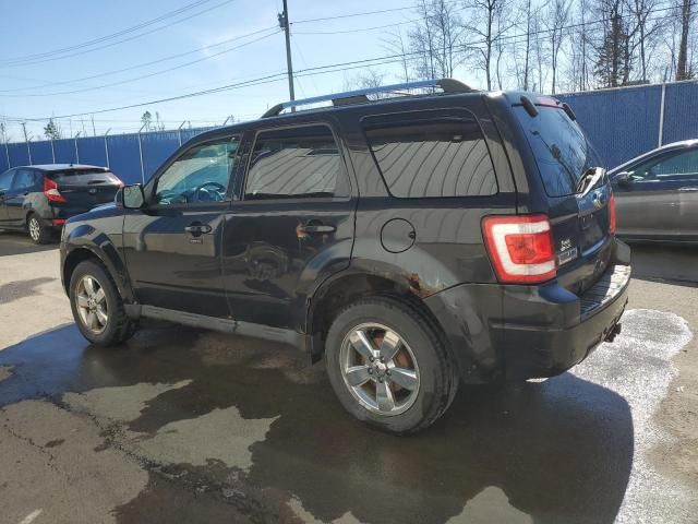 2011 Ford Escape Limited