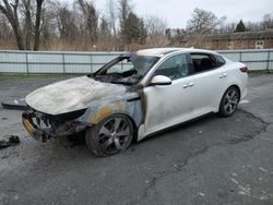Salvage cars for sale from Copart Albany, NY: 2017 KIA Optima SX