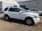 2008 Ford Escape Limited