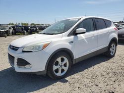 Vehiculos salvage en venta de Copart Eugene, OR: 2014 Ford Escape SE