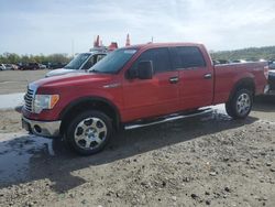 Ford salvage cars for sale: 2010 Ford F150 Supercrew