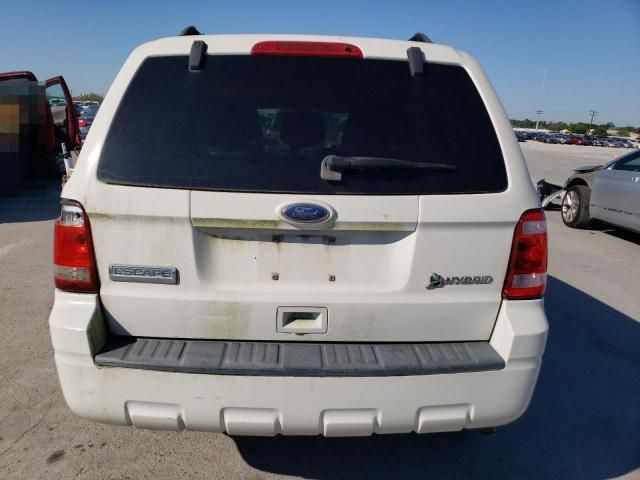 2010 Ford Escape Hybrid