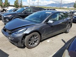 Vehiculos salvage en venta de Copart Rancho Cucamonga, CA: 2021 Tesla Model 3