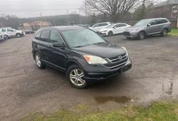 Honda CR-V EXL salvage cars for sale: 2010 Honda CR-V EXL