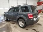 2008 Ford Escape HEV