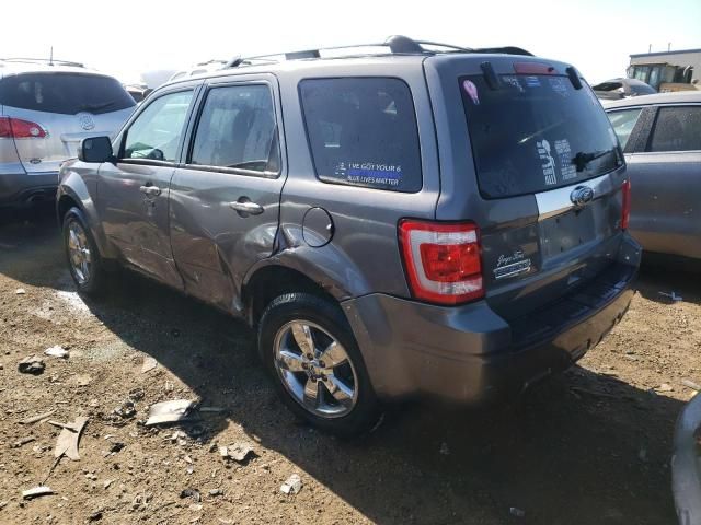 2010 Ford Escape Limited